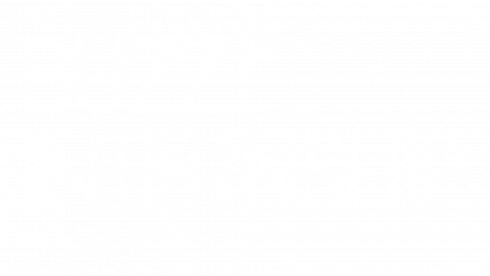 BUZZ Internship